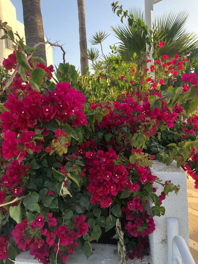 Andreotis Villas Protaras Dış mekan fotoğraf